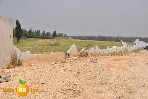 wallludshaneer509 (9).JPG